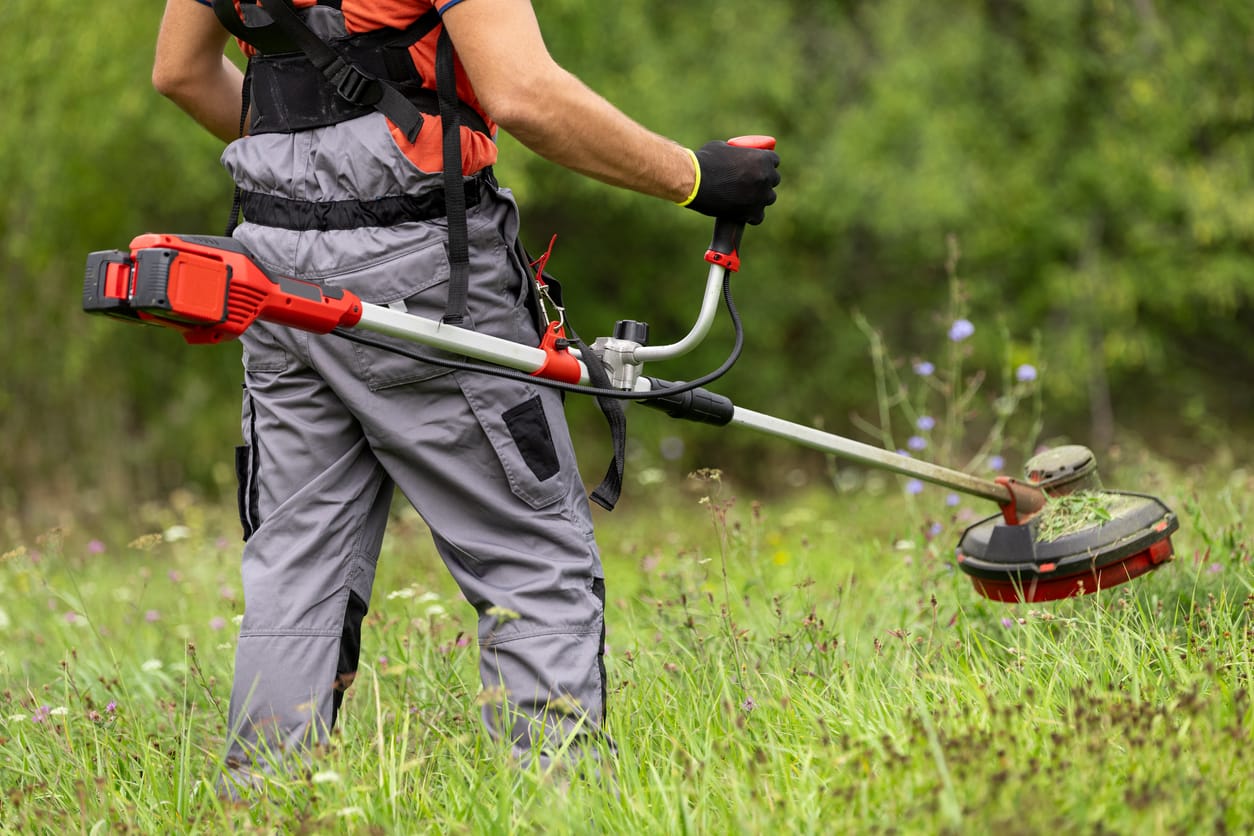 Man mowing tall grass with electric cordless lawn trimmer