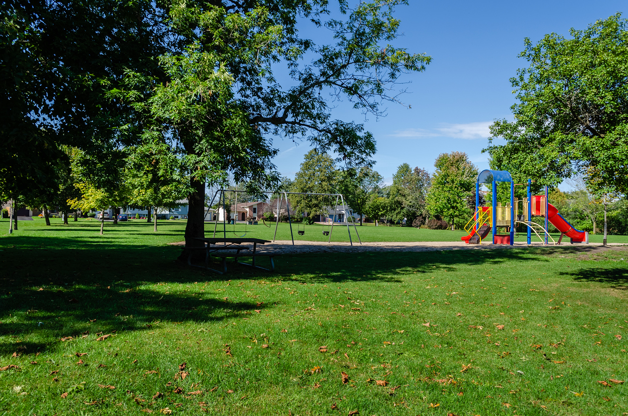 Neighborhood park and playground area on a summer day with shade and a blue sky