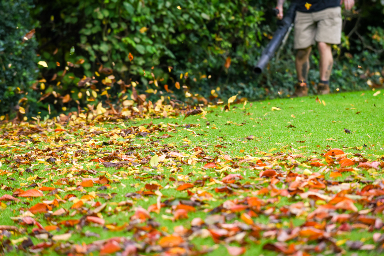 a grounds maintenance operative using a leaf blower to clear grounds